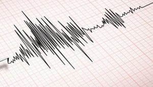 Gempa Magnitudo 4,2 Guncang Bengkulu Waspada Gempa Susulan