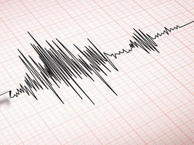 Gempa Magnitudo 4,2 Guncang Bengkulu Waspada Gempa Susulan