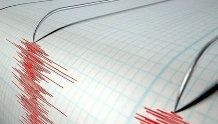 Gempa Magnitudo 4,6 Guncang Maluku Barat Daya, Warga Terkejut
