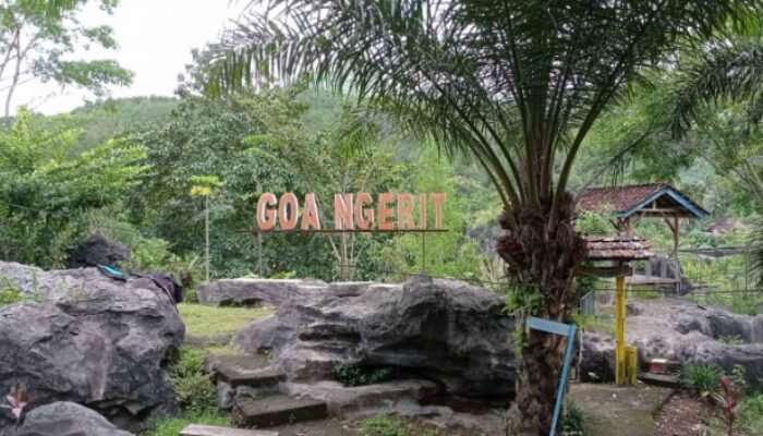 Goa Ngerit Trenggalek Merana-Dulu Ratusan Wisatawan, Kini Sepi Bak Hutan Belantara Pasca Pandemi