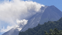 Merapi Luncurkan Wedus Gembel Sejauh 2,5 Km dan 15 Kali Lava Pijar