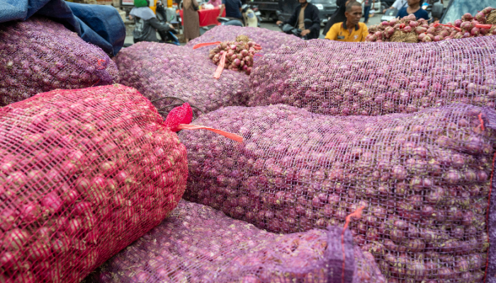 Harga Bawang Merah Melonjak di Desember 2024: Papua Sentuh Rp100 Ribu per Kilogram