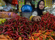 Harga Cabai Merah Melonjak 10% di Desember 2024: Ada yang Tembus Rp180 Ribu per Kilogram