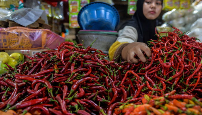 Harga Cabai Merah Melonjak 10% di Desember 2024: Ada yang Tembus Rp180 Ribu per Kilogram