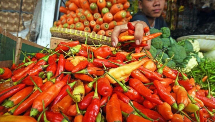 Harga Cabai Rawit di Sumenep Meroket Tembus 80 Ribu Dampak Cuaca Buruk Sepekan