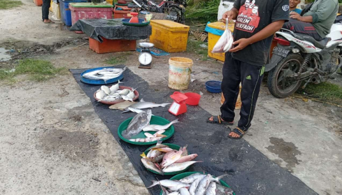 Harga Ikan di Singkil Naik Tajam! Nelayan Kesulitan Melaut Akibat Terang Bulan