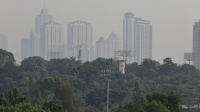 Hebat! Langkah Cerdas Atasi Polusi Udara di Banten Terungkap!