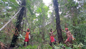 Heboh! Langkah Revolusioner Menuju Pengakuan Hutan Adat Terungkap!