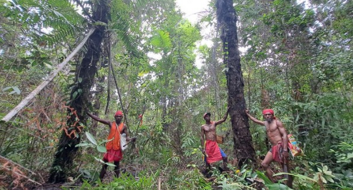 Heboh! Langkah Revolusioner Menuju Pengakuan Hutan Adat Terungkap!