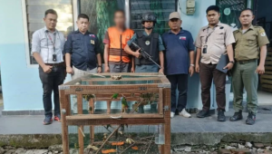 Heboh! Operasi Penangkapan Burung Dilindungi Gagal, Tersangka Kini Terancam!