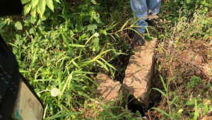 Heboh! Penemuan Patahan Baru di Cianjur Bikin Geger!