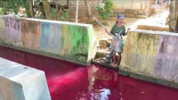 Heboh! Sungai Klampar Berubah Warna Merah Mengerikan, Penyebabnya Terungkap!