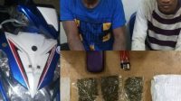 Edarkan Ganja Kering, Dua Pemuda diringkus Sat Reskoba Polres Kampar