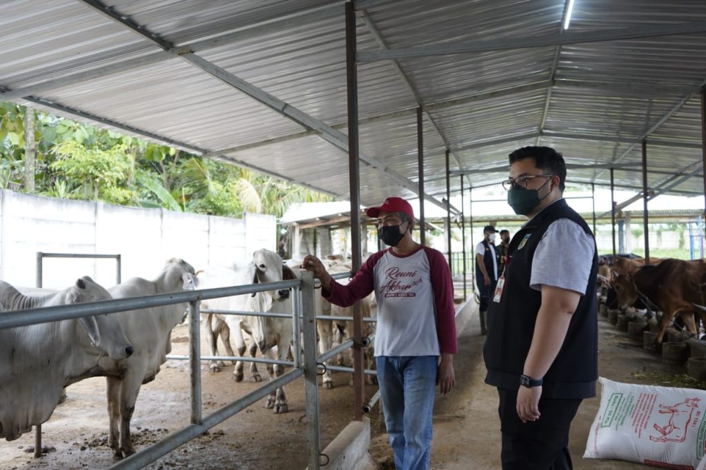 Poktan Berhasil Mengolah Limbah Sapi Jadi Biogas, Ini Kata Bupati Kediri