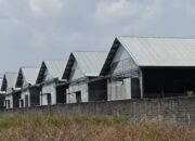 Dugaan Peternakan Ilegal di Blitar, Pemkab Didesak Lakukan Penutupan