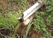 Janji Manis DPRD dan PT KSPP Berbuah Busuk, 400 Warga Blitar Selatan Menggugat