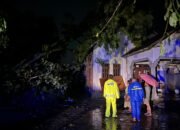 Hujan Angin Porak-porandakan Ponggok, Pohon Tumbang Timpa Sejumlah Rumah Warga