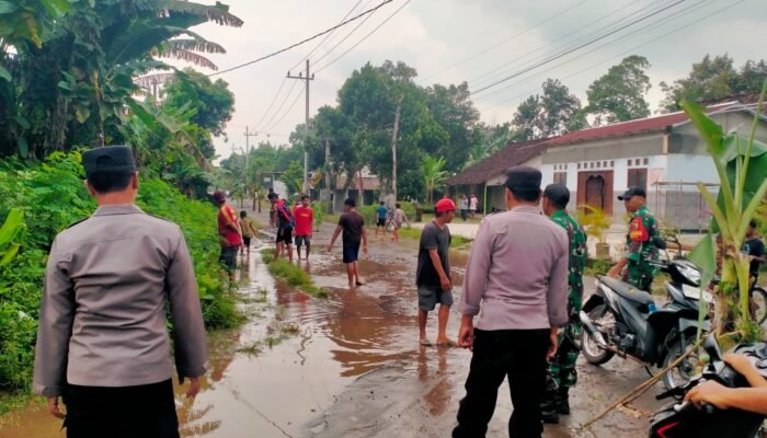 6 Tahun Jalan Desa Jeblok, Warga Tempel Nekat Gelar Aksi Tanam Ratusan Pohon Pisang Di Jalan