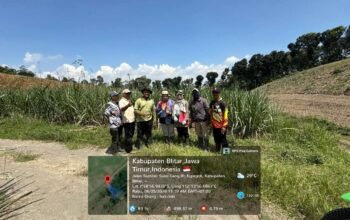 CV Lang Buana Kembangkan Benih Tebu Unggul untuk Dukung Swasembada Gula