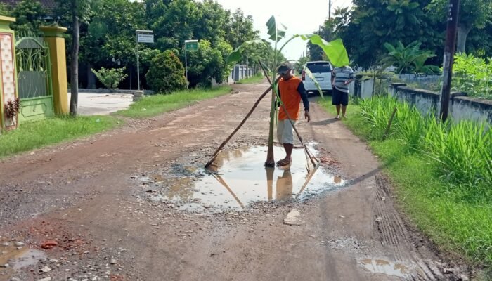 Jalan Daerah Rusak Telan Korban, Warga Malangsari Alami Patah Tulang