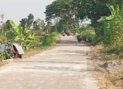 Jelang Bursa Pilkades 2027, Ada Isu Di Desa Nglawak Proyek Fisik Untuk Alat Politik,  Benarkah ?