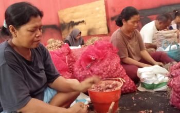 Dari Pritil Brambang Mampu Serap Tenaga Kerja Lokal