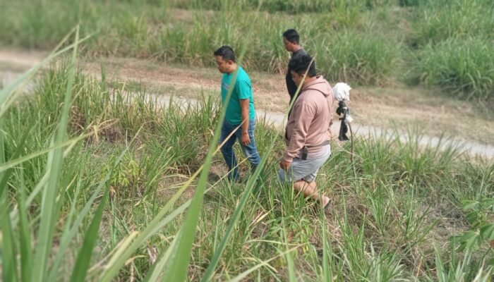 Hanya Hitungan Jam, Pelaku Pembacokan Sonobekel Berhasil Diringkus Tim Satresmob Macan Wilis Polres Nganjuk Di Mojokerto