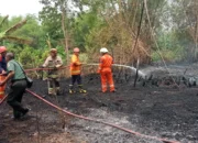 Diduga Kena Percikan Api Puntung Rokok, Lahan Kosong Di Kwajon Ludes Dilalap Si Jago Merah