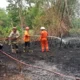 Diduga Kena Percikan Api Puntung Rokok, Lahan Kosong Di Kwajon Ludes Dilalap Si Jago Merah