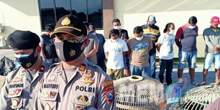 Ngaku Wartawan Backingi Judi Sabung Ayam Omset Ratusan Juta Digrebek Polisi