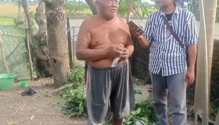 Uang Ganti Rugi Tol Belum Lunas 100% , Buruh Tani Di Prambon Merana