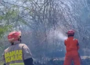 Tersulut Api Daun Tebu Kering, Rumpun Bambu Di Lobeser Ludes Terbakar 14 IMG 20260925 224959