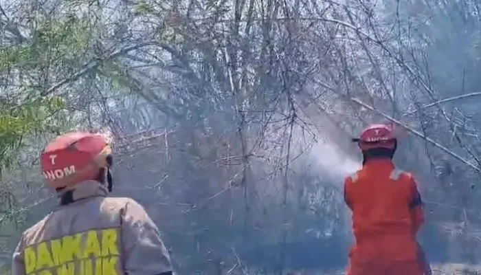 Tersulut Api Daun Tebu Kering, Rumpun Bambu Di Lobeser Ludes Terbakar