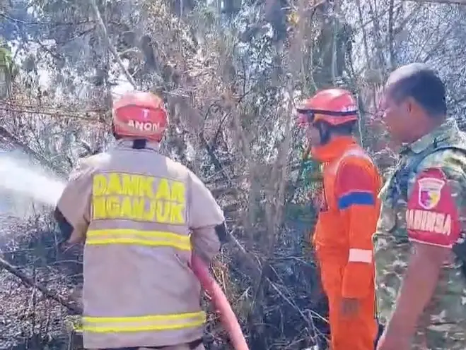 Tersulut Api Daun Tebu Kering, Rumpun Bambu Di Lobeser Ludes Terbakar 4 IMG 20260925 225023