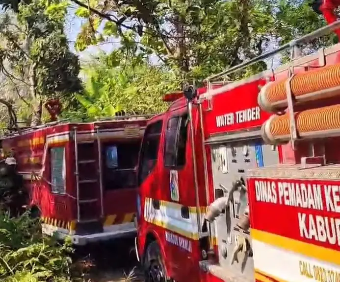 Tersulut Api Daun Tebu Kering, Rumpun Bambu Di Lobeser Ludes Terbakar 2 IMG 20260925 225037