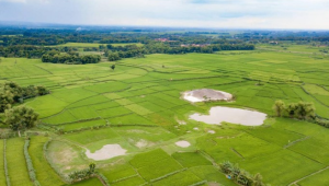 Ini Dia! Gunung Baru Muncul di Grobogan, Ada Apa Sebenarnya?