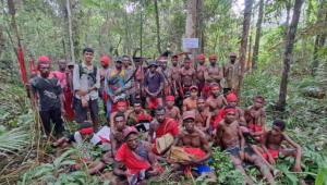 Ini Dia Rahasia Tersembunyi di Dalam Hutan Adat Distrik Konda!