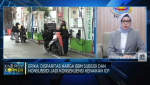 Ini Solusi Pemerintah untuk Harga BBM! Terjawab di Sini!