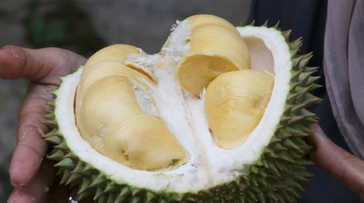 Inilah Fakta Terbaru Seputar Konsumsi Durian bagi Ibu Hamil!