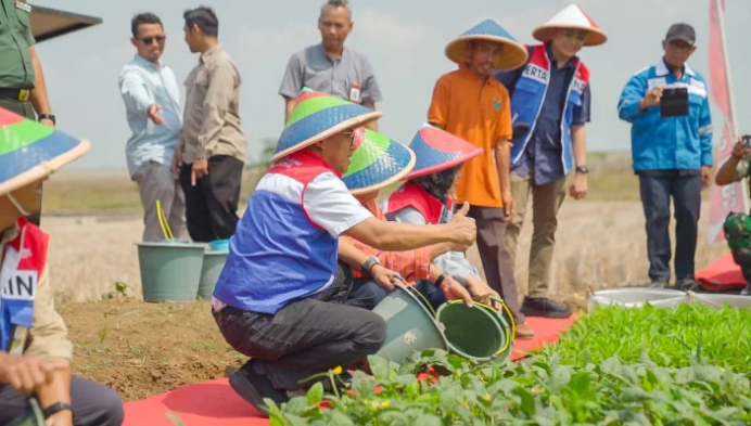 Inovasi Energi Terbarukan di Kalijaran Meningkatkan Produktivitas Pertanian