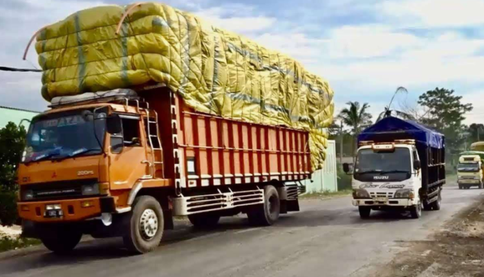 Jalan Raya Darurat Selamat! MTI Desak Revisi UU LLAJ, ODOL Jadi Momok