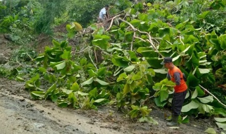 Jalur Lintas Selatan Putus Total Akibat Hujan Deras, Bencana Longsor Landa Kecamatan Panggul