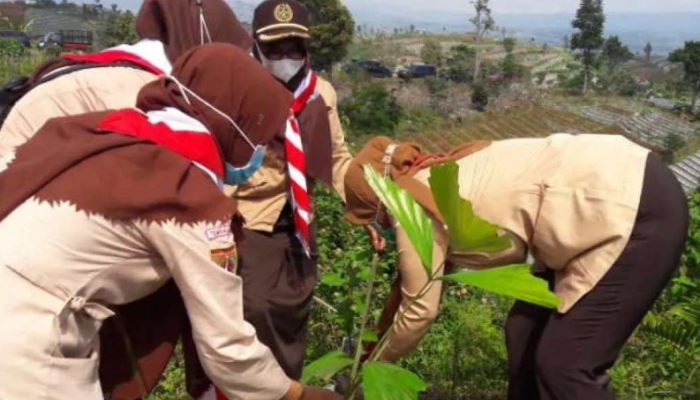 Jelang Hari Satu Juta Pohon: Sejarah dan Manfaatnya untuk Lingkungan Hidup