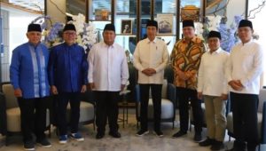 Jokowi Bentuk Koalisi Besar Hilangkan Pengaruh Megawati dan Jegal Anies