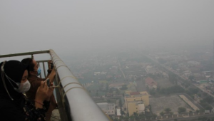 Kalteng Dalam Bahaya! Kebakaran Hutan Meluas, Gubernur Ambil Langkah Ini!