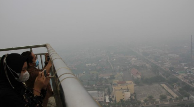 Kalteng Dalam Bahaya! Kebakaran Hutan Meluas, Gubernur Ambil Langkah Ini!