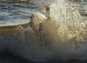 Kapal Nelayan di Paciran Lamongan Terbalik Akibat Terjangan 2 Meter Ombak Besar Laut