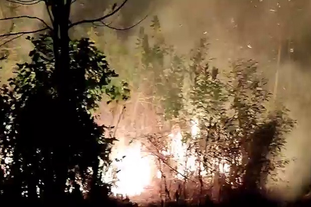 Kebakaran Hutan , Api Terus Merembet di Dekat Permukiman Warga