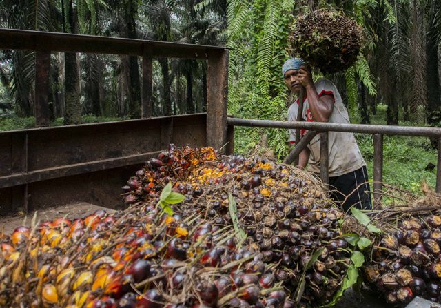 Ekonomi Nasional Diproyeksikan Tumbuh 4,7‒5,5 Persen