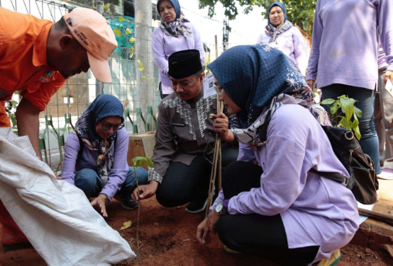 Kelurahan Petojo Utara Tanam 50 Pohon Sekaligus, Ini Rahasianya